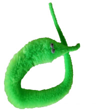 Hot sale 22cm Slideyz Magic Tricks Twisty Worm colorful Mr Fuzzy magic worm for educational toys